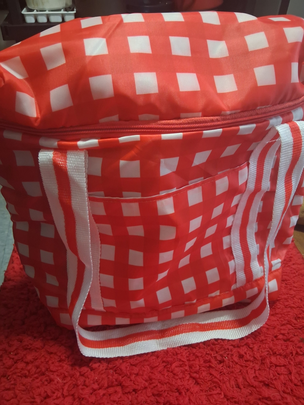 Red and White Gingham Insulated Tote